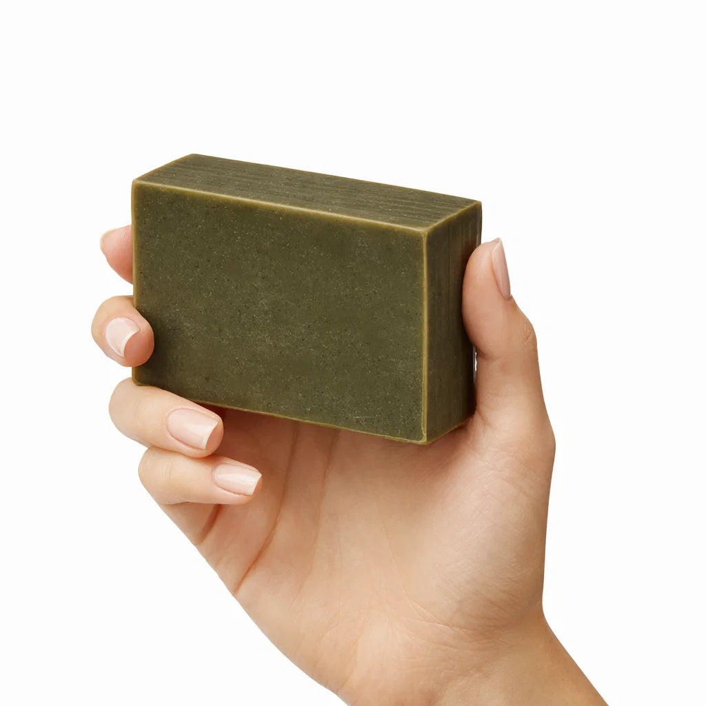 Avocado Peer Zeep – Voedend