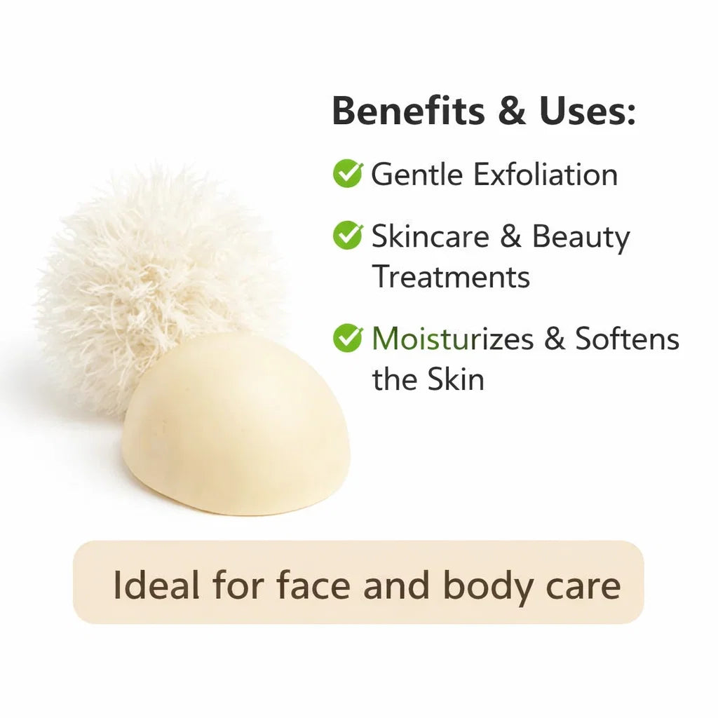 Douchezeep Kamelenmelk – Hydraterend